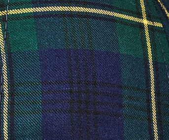 Forest / Navy Plaid